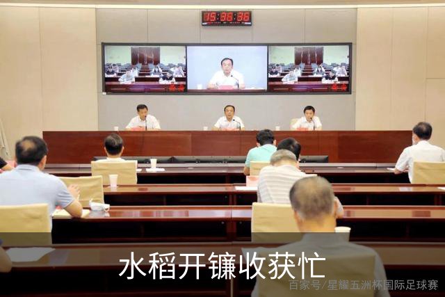 水稻开镰收获忙